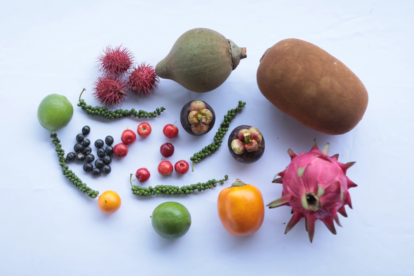 Amazonian Superfruits: Health Benefits, Sustainability, and Culinary Magic from the Rainforest